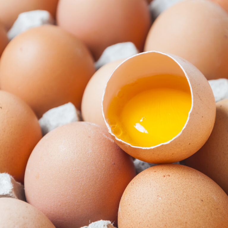 eggs-top-view