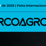 Captura de tela 2024-09-11 172755