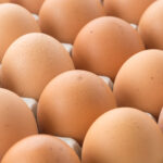 hen eggs