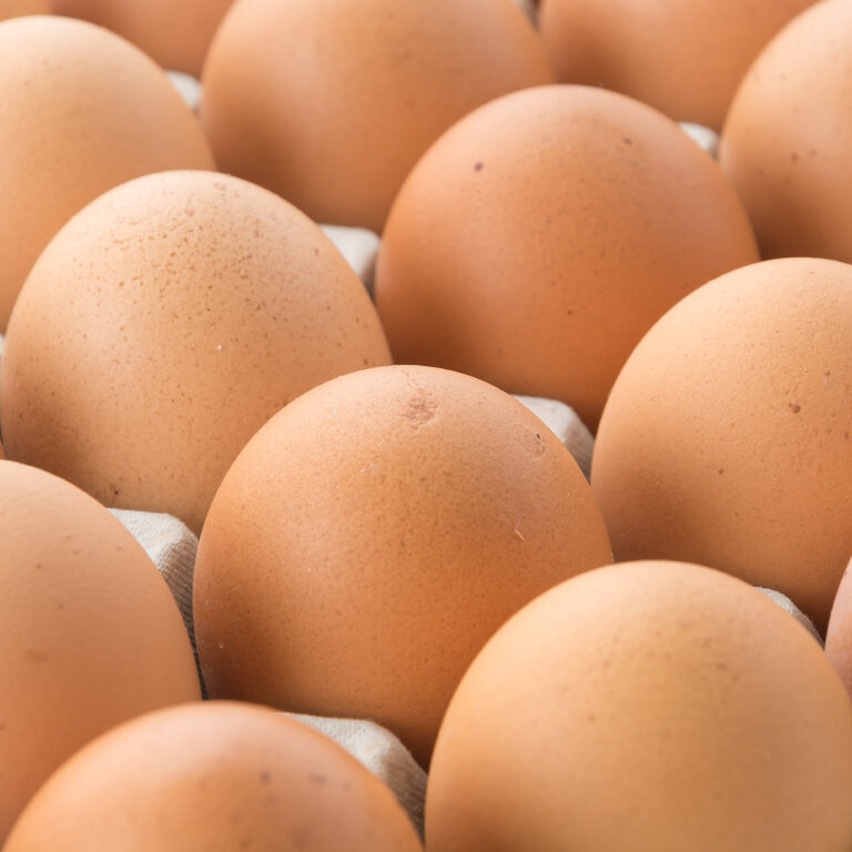 hen eggs