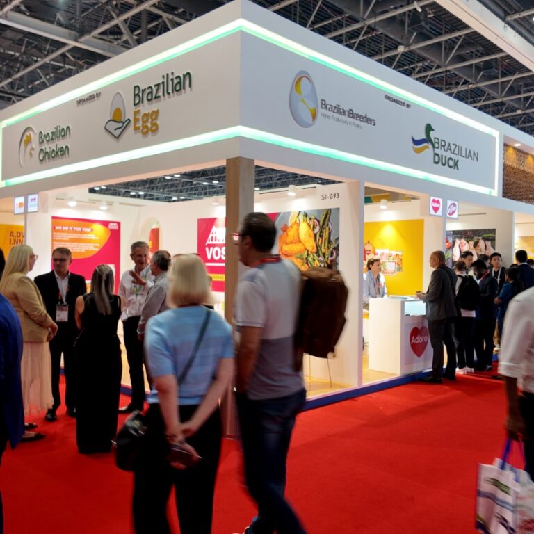 WhatsApp Image 2026-02-03 at 10.08.05