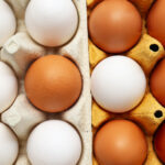 Ingredient for cooking dishes- eggs, top view