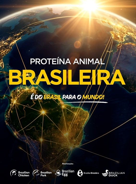 Captura de tela 2026-06-16 110349