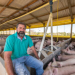Dia do Suinocultor celebra protagonismo de quem impulsiona setor de R$ 63,1 bilhões