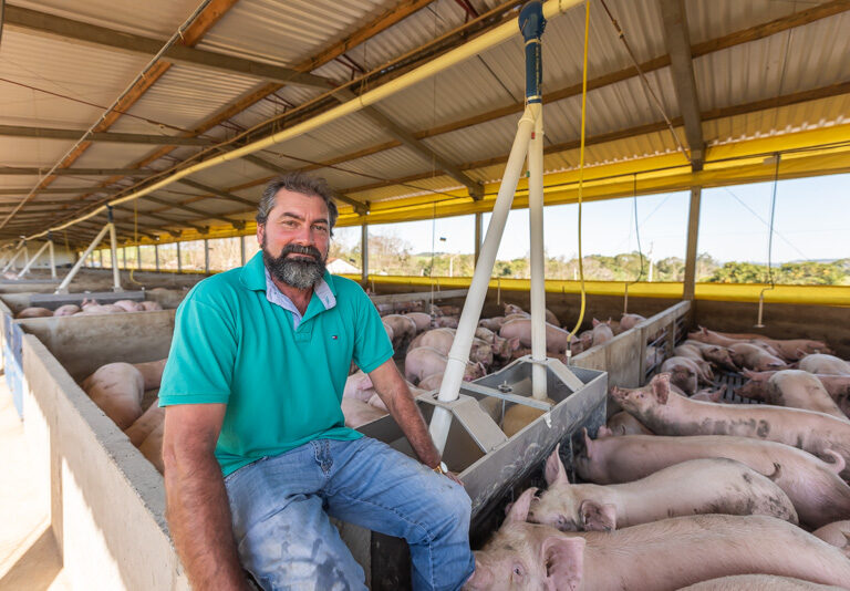 Dia do Suinocultor celebra protagonismo de quem impulsiona setor de R$ 63,1 bilhões