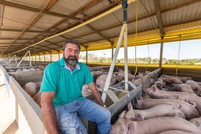 Dia do Suinocultor celebra protagonismo de quem impulsiona setor de R$ 63,1 bilhões