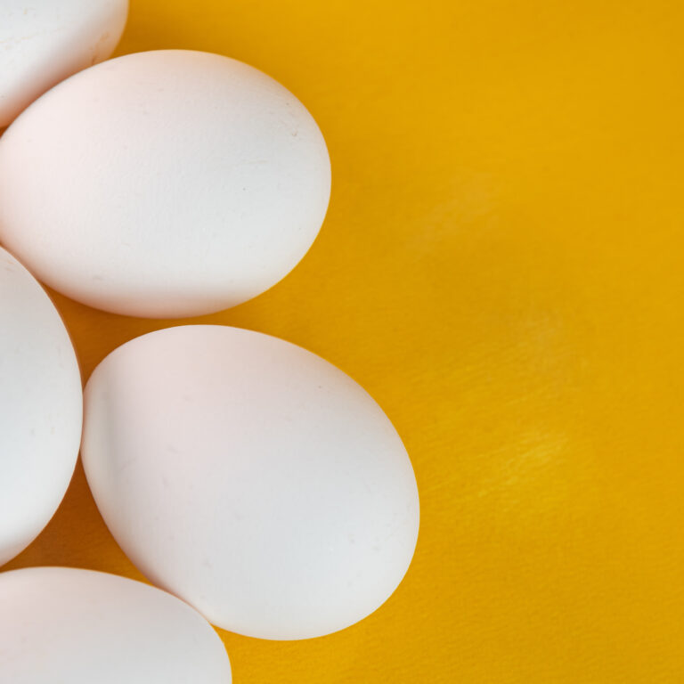 Eggs on the yellow background