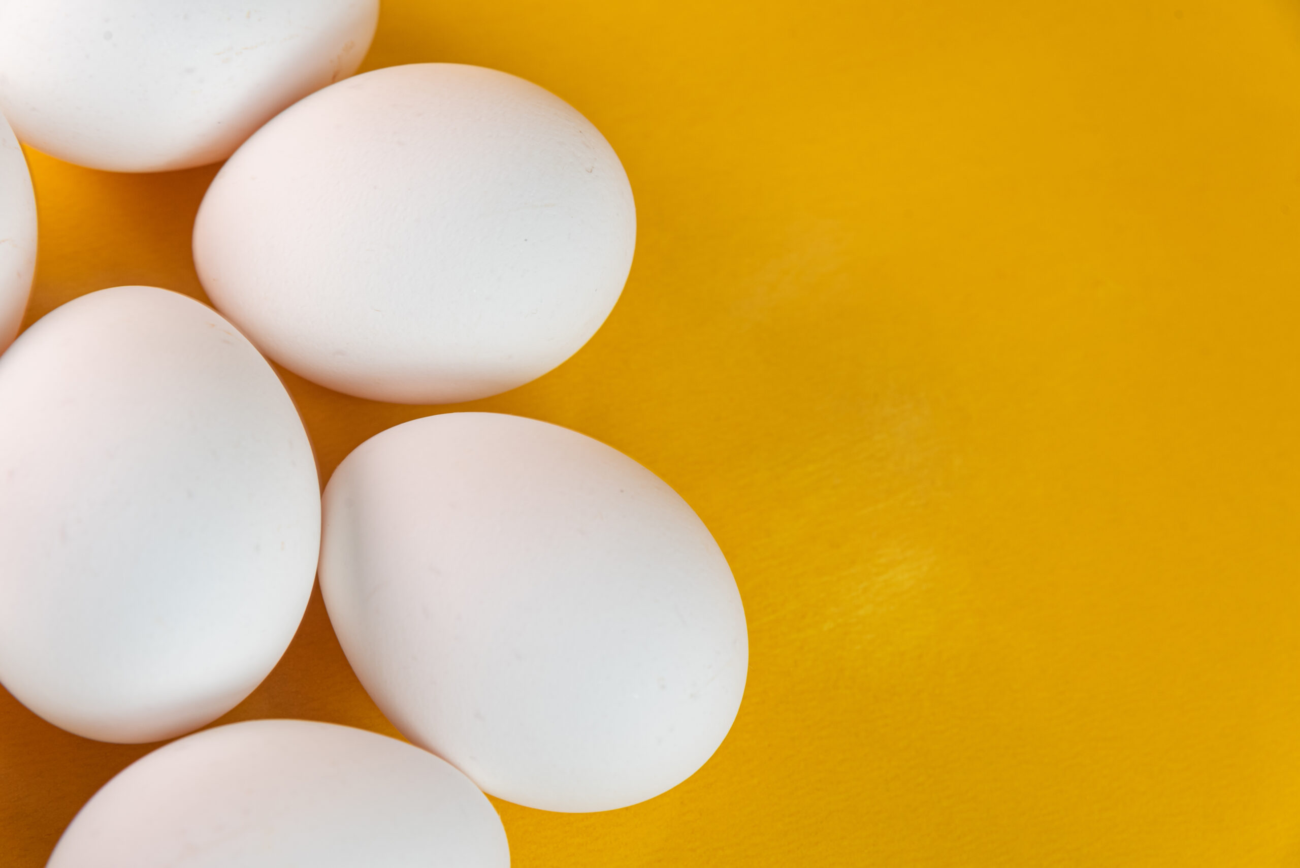 Dia Mundial do Ovo: alimento versátil, nutritivo e acessível ganha cada vez mais espaço na mesa dos brasileiros